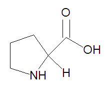 Proline stick figure.jpg