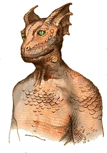 Argonian.png