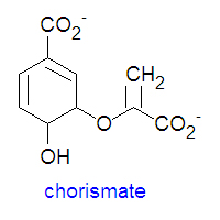 Chorismate DEVolk.jpg