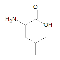 Leucine stick figure.jpg