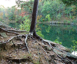 WisconsinScenery.jpg