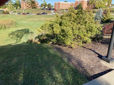 Before this bioretention pond was competed, the intersection to the upper left of the picture was routinely flooded during heavy rains.