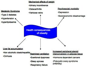 Obesity final.jpg