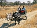 Damara People Namibia.jpg