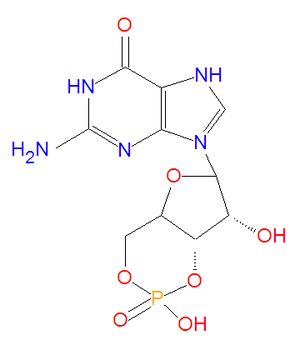 CGMP.jpg