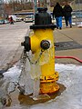 Frozen Hydrant (5298027309).jpg