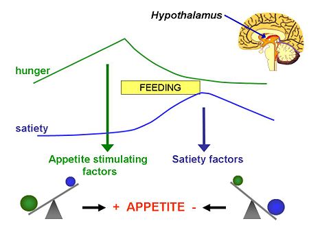 Appetite.jpg