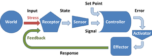 Negative feedback as a model for homeostasis