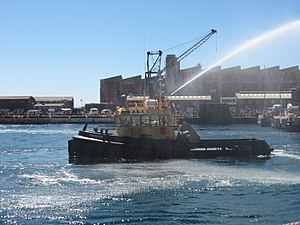 SA Navy Tug Tshukudu.JPG