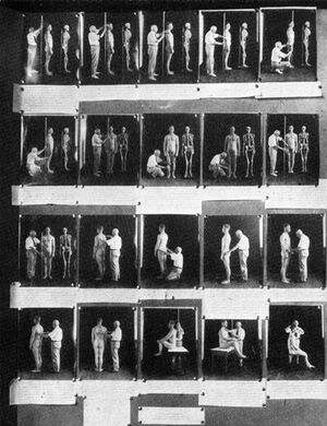 Anthropometry exhibit.jpg