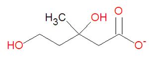 Mevalonate structure.jpg