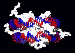 Nucleosome 2.jpg