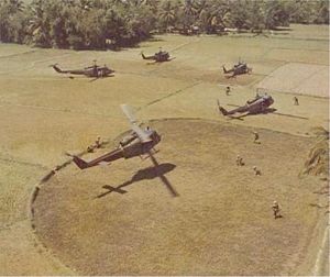 Viet-huey.jpg