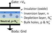 Cross section of MOS capacitor showing charge layers