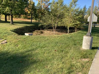 A small rain garden that is part of a larger network of small gardens. Overflow not absorbed during heavy rains flows into the drain and into the next garden.