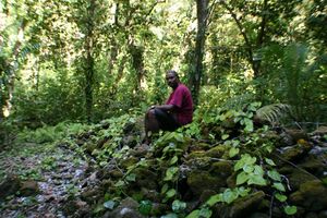 Stone walls palau.jpg