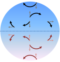 Wind motion in direction of pressure gradient is deflected by the Coriolis force.