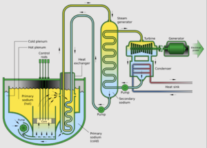 Sodium-Cooled Fast Reactor.png