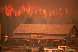 Crown fire Old Faithful.jpg