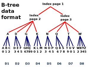 B TREE DIAGRAM.jpg