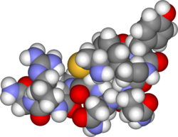 Arginine vasopressin3d.png