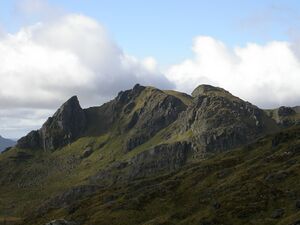 The Cobbler (Ben Arthur).jpg