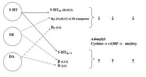 Fig-1.jpg