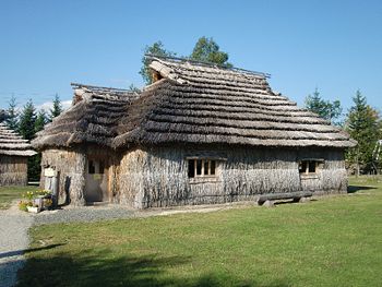 Ainu-cise-outside.jpg