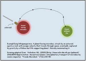 Lithopanspermia.jpg