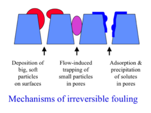 Membrane Fouling.png