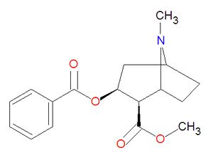 Cocaine structure.jpg